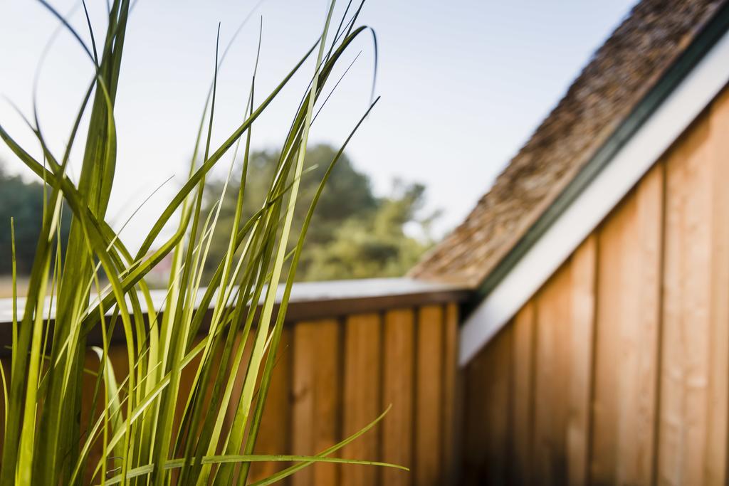 Kamphof Usedom Ferienanlage Loddin Ngoại thất bức ảnh